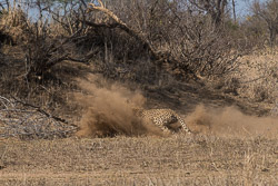 Afrique du Sud