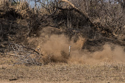 Afrique du Sud Afrique du Sud