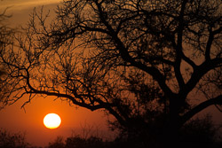 Afrique du Sud Afrique du Sud