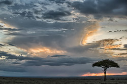 Kenya