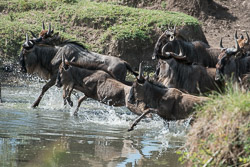 Kenya Kenya